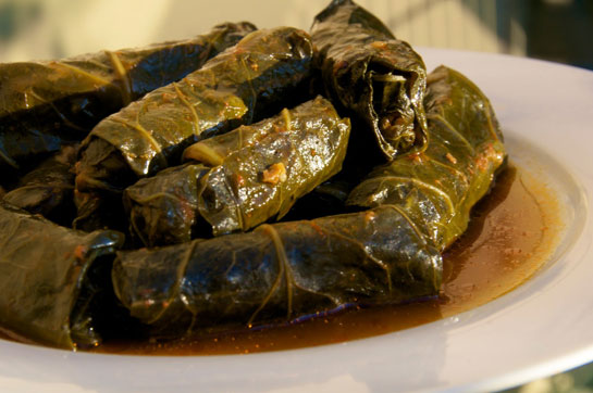 Paz Dolmas